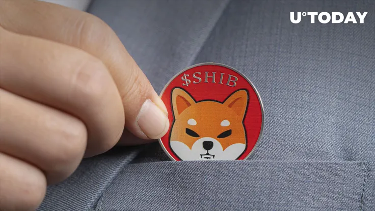 Shiba Inu (SHIB) Should Hit New Lows in 2023, Trader Predicts