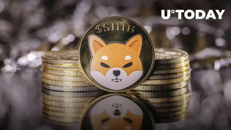 Shiba Inu (SHIB) Has Great Potential in 2023, According to This Vote