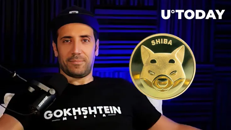 SHIB Better Make Comeback During Next Bull Run: David Gokhshtein