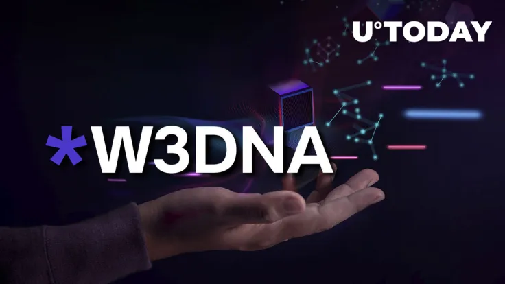 W3DNA Domain System Addresses Major Bottlenecks of Domains Registration Process