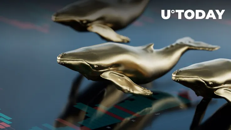 Here's One Coin That Whales Loves Most, And It Will Surprise You