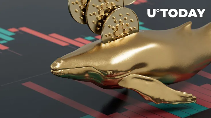 Cardano Whales Added 331 Million Additional ADA After Collapse of FTX