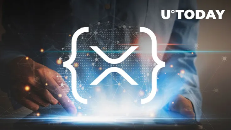 Is XRPL Decentralized? Analyst Shares Critical Take