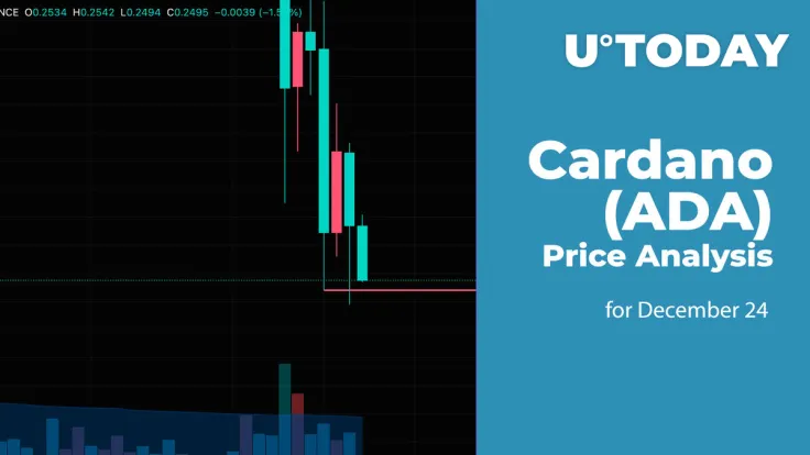Cardano (ADA) Price Analysis for December 24