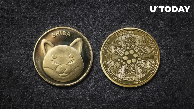 Nansen CEO Mocks Cardano Bros as ADA Underperforms SHIB