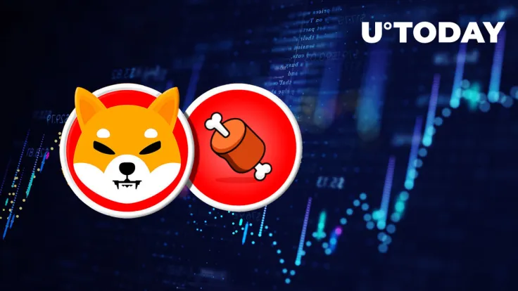 Shiba Inu's BONE Up 10% in Time for Christmas