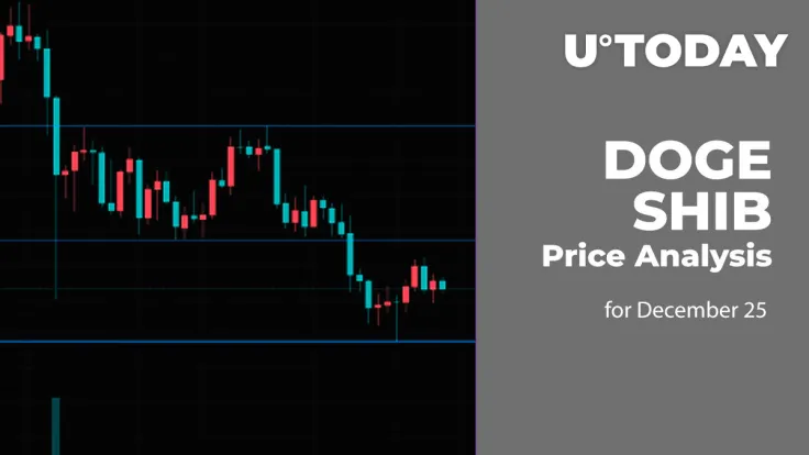 DOGE and SHIB Price Analysis for December 25
