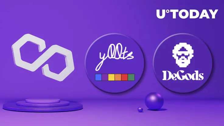 Top SOL NFT Collections Migrate to Polygon (MATIC), Solana Founder Reacts