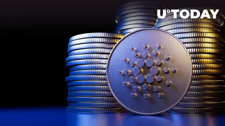 Cardano Excelling in This Regard as Year Rounds Up: Details