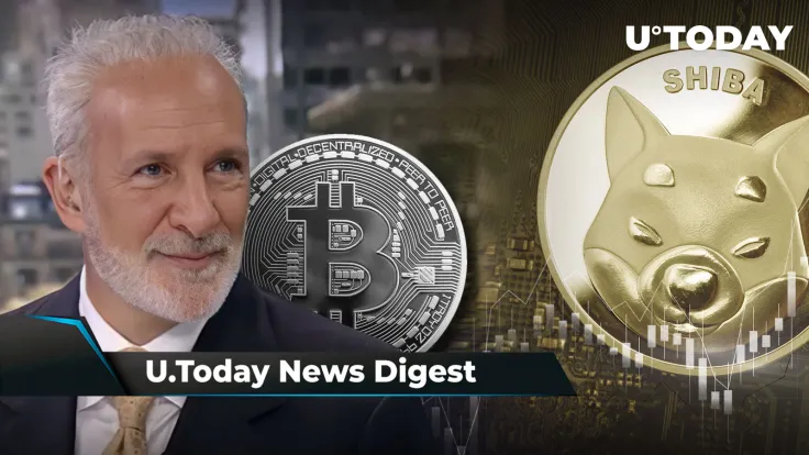 Peter Schiff Has “Christmas Gift” for BTC Holders, DOGE Turns into Top Traded Crypto After Elon Musk’s Post, SHIB Forms Reversal Pattern: Crypto News Digest by U.Today