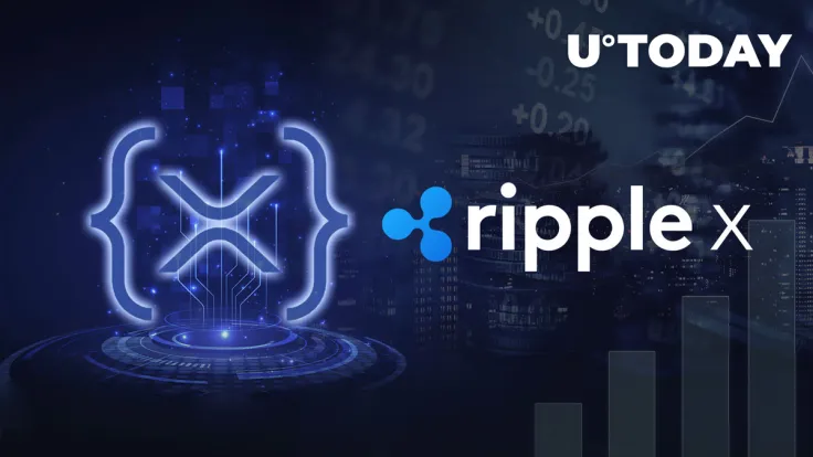 RippleX Starts Giving Away Money to XRPL Developers, Here's What It's For