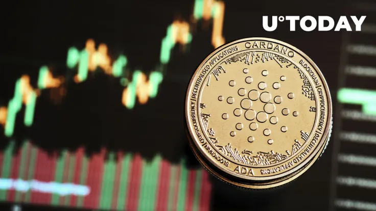 ADA 'Surreal' Price Drop Will End in 3-9 Months, Mike Alfred Expects