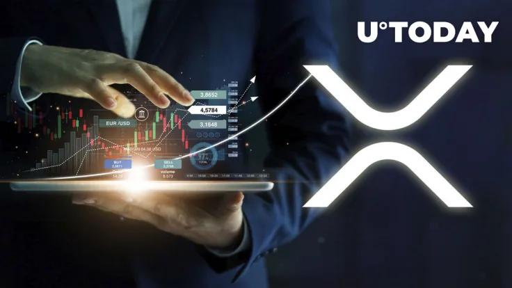 Hundreds of Millions of XRP Moved by Anon Giants: Details