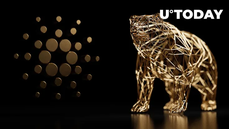 Investors Prefer ADA to 'Fallen VC Coins' in Current and Recent Bear Markets: Source