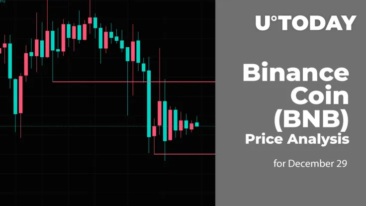 Binance Coin (BNB) Price Analysis for December 29