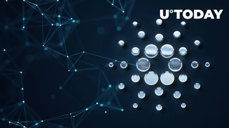 Cardano Now Most Actively Developed Chain in 2022: Details