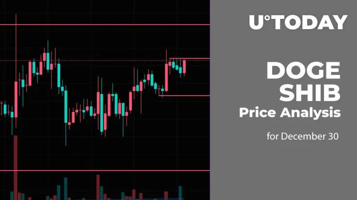 DOGE and SHIB Price Analysis for December 30