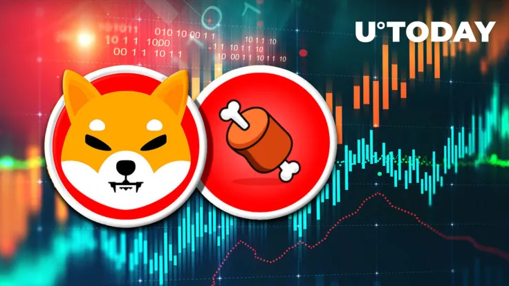 Shiba Inu's BONE Shows Interesting Price Action Amid SHIB Falling