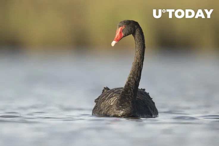 Crypto CEO Predicts More Black Swan-Type Events 