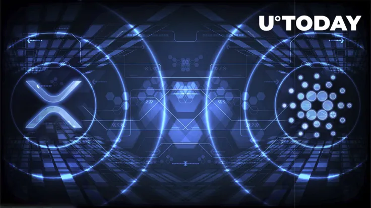 Cardano (ADA) and XRP ‘Fight’: Understand What's Going On