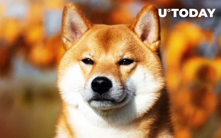 This Event Marked Absolute Top for Shiba Inu (SHIB)