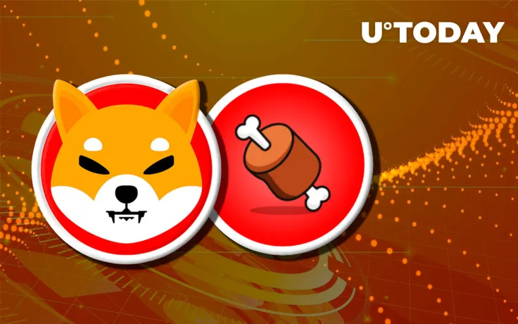 Shiba Inu (SHIB) Community Signing Petition That Asks Binance to List BONE