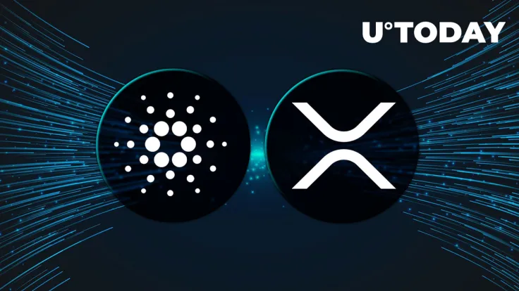 CEO Trashes XRP and ADA. Are They Really Worth Nothing?