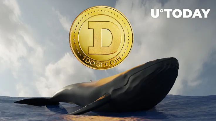 Dogecoin Whales Made 523 Transactions After DOGE's 34% Price Rise