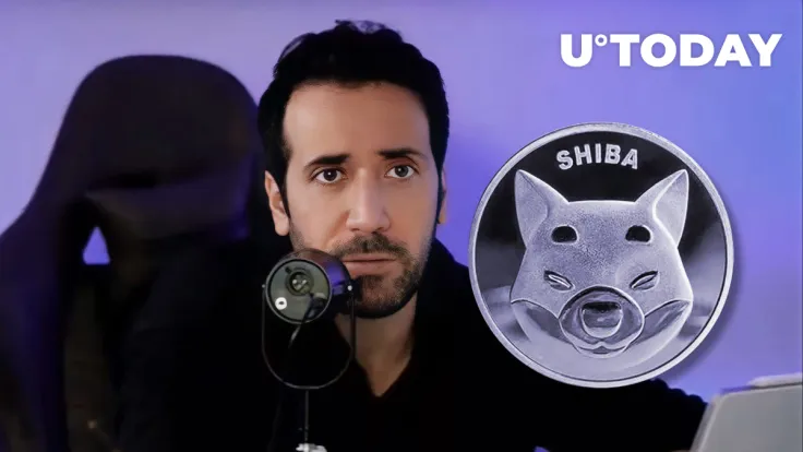 Shiba Inu (SHIB) Might Make Comeback, David Gokhshtein Speaks on Meme Token 'Bag'