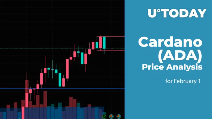 Cardano (ADA) Price Analysis for February 1