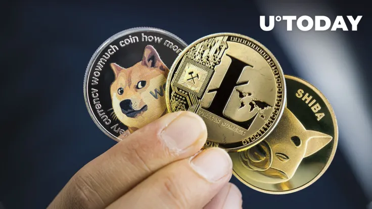 Shiba Inu (SHIB), Dogecoin (DOGE), Litecoin (LTC) Now Accepted by Top UK Basketball Club