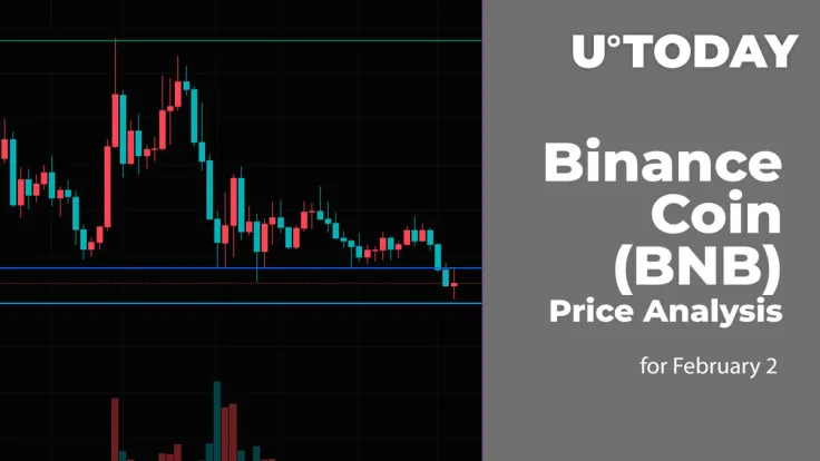 Binance Coin (BNB) Price Analysis for February 2