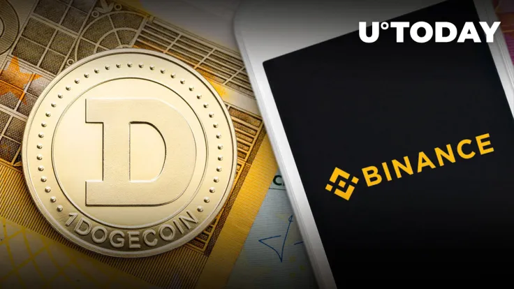 184 Million DOGE out of Binance, Dogecoin Price Acts Positively