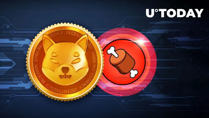 Shiba Inu's BONE Records New Listing, Shibarium Builders Give Official Update