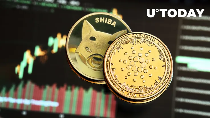 Shiba Inu (SHIB) and Cardano (ADA) Show Something You Don't Want to Miss