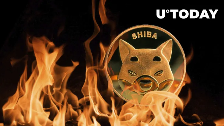 Here's SHIB Burn Rate's Reaction to Recent Shiba Inu Price Performance