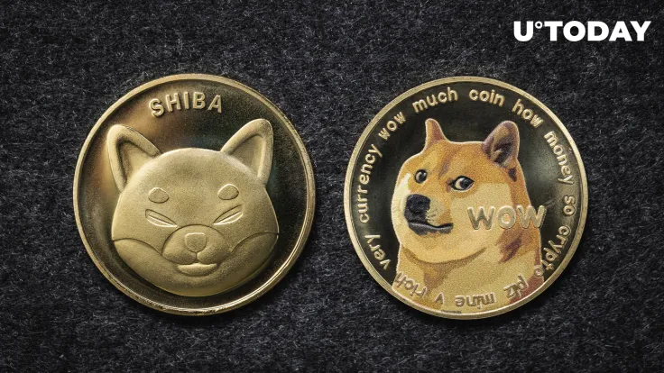 Solidity.io CEO Slams Shiba Inu (SHIB) and Dogecoin (DOGE) as 'Garbage'