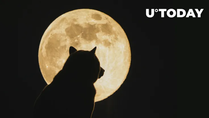 Shiba Inu (SHIB) Burn Rate Moons by 10,110% in Last 24 Hours: New Record?