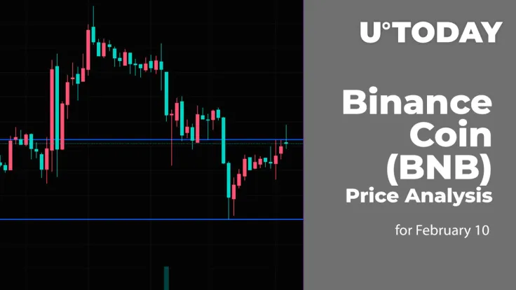 Binance Coin (BNB) Price Analysis for February 10