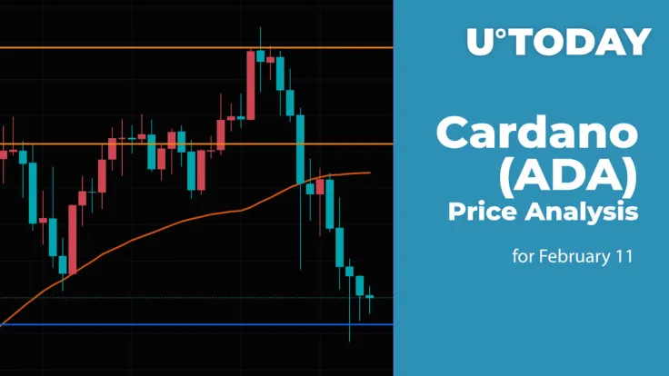 Cardano (ADA) Price Analysis for February 11
