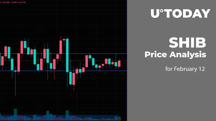 SHIB Price Analysis for February 12