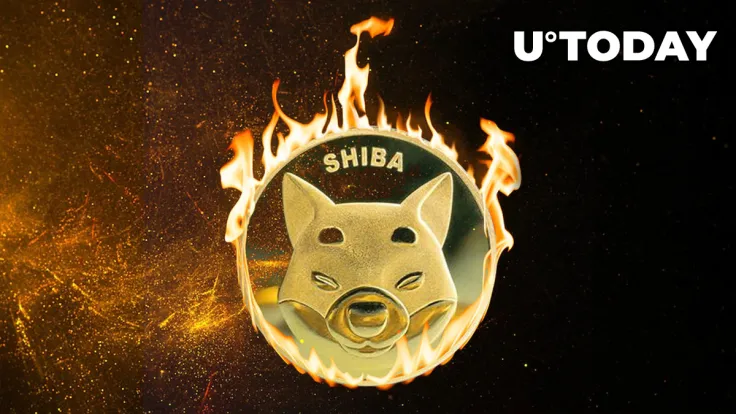 Shiba Inu (SHIB) Burn Rate Shows 1,000% Spike, Here's Why