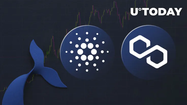 Cardano (ADA) and Polygon (MATIC): Why Are Whales So Interested in These Cryptocurrencies?