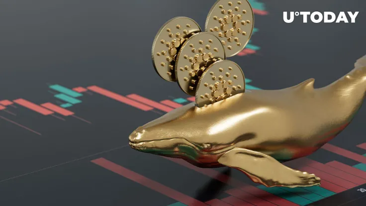 Cardano (ADA) Seeing Uptick in Whale Activity