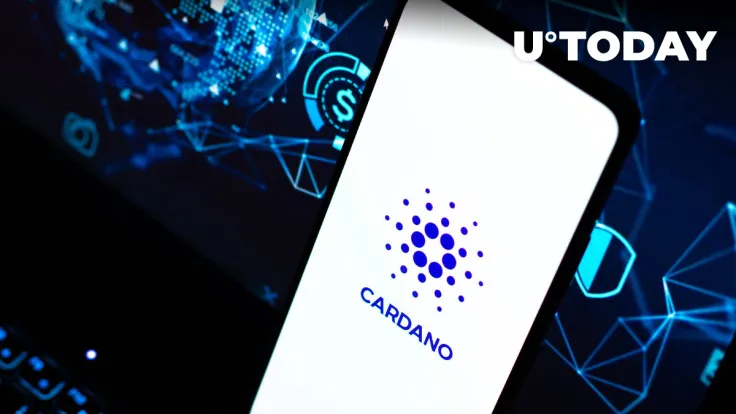 Can Cardano Benefit From Collapse of Solana's DeFi?