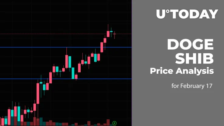 DOGE, SHIB Price Analysis for February 17