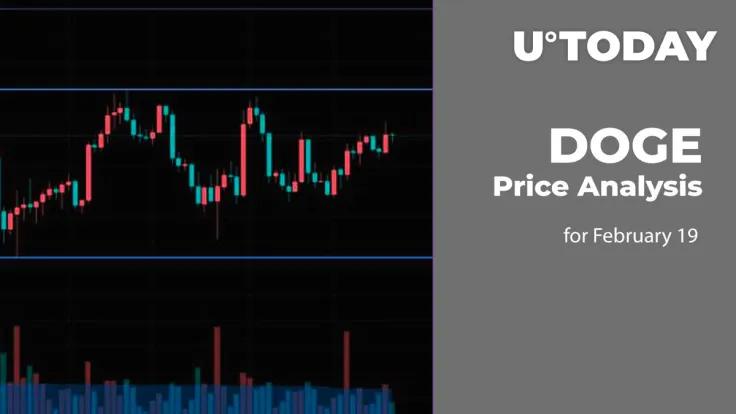 DOGE Price Analysis for February 19