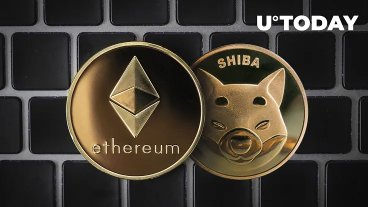 Bankrupt Crypto Broker Shocks Market, Shifts 2,500 ETH and 250 Billion Shiba Inu (SHIB)
