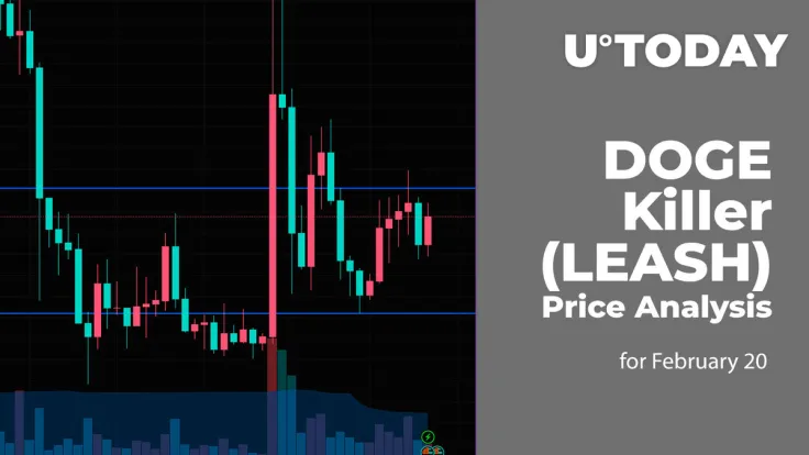DOGE Killer (LEASH) Price Analysis for February 20