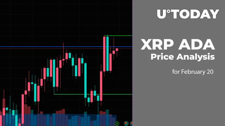 XRP and ADA Price Analysis for February 20
